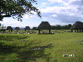 s_PICT0034s.png
